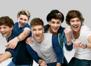 Quiz One Direction dans la peau !