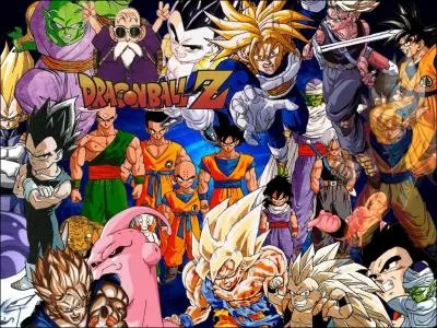 Combien y a-t-il de sagas dans Dragon Ball Z ?