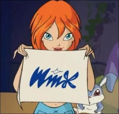 Pourquoi le mot  winx   t choisi pour le groupe ?