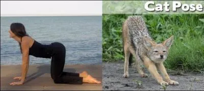 Africain, il fait du yoga sous nos yeux !