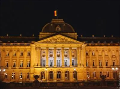 Ce monument de Bruxelles est trs pris des touristes. Lorsque le drapeau flotte sur le toit comme sur la photo, cela signifie que le roi est l. Facile :