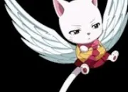 Quiz Fairy Tail : les personnages