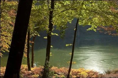 C'est toujours un merveilleux [..] que celui de l'automne en nos campagnes [...].