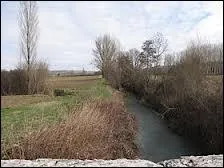 La Barguelonne est un affluent de la Garonne, dans laquelle elle se jette dans le dpartment ...