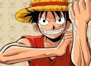 Quiz One Piece : vrai ou faux