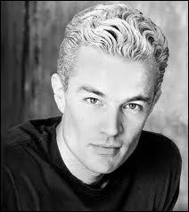 Dans quelle(s) série(s) James Marsters a-t-il joué ? (3 réponses)