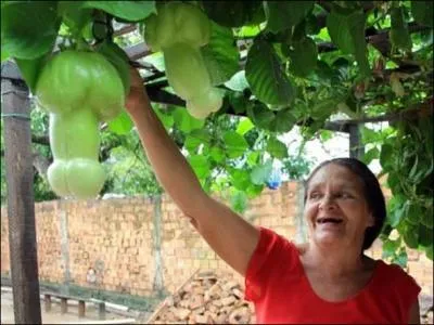 On parle du pch originel, mais on voit bien sur la photo que Eve n'a fait que croquer dans une pomme, il n'y a vraiment pas de quoi en faire tout un plat, alors, y a-t-il un rapport avec le sexe ?