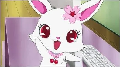 Qui est ce Jewelpet ?