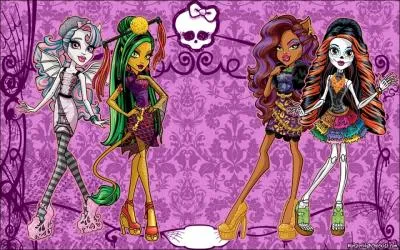 Ce sont les Monster High :