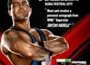 Quiz Wwe'13 (2)