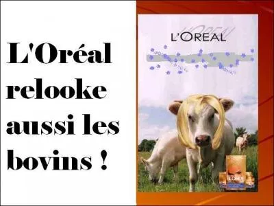 L'enseigne l'Oréal se lance sur un nouveau marché ! Quel slogan bien adapté a-t-elle choisi ?