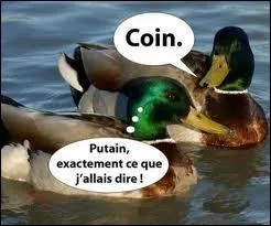 Comment dit-on  canard  en anglais ?