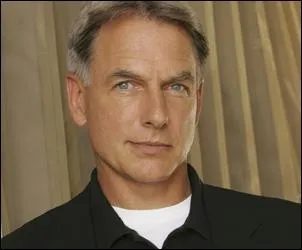 Qui est l'acteur qui joue le rle de Leroy Jethro Gibbs ?