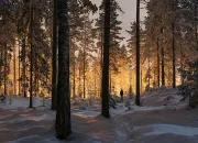 Quiz 7 photographies de Mikko Lagerstedt