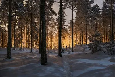 Quel est le nom de cette photographie ?