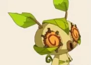 Quiz Les rles dans Dofus