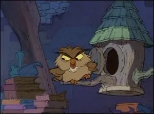 Merlin l'enchanteur - Quel est ce hibou ?