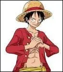 Quel ge a Luffy 2 ans plus tard ?