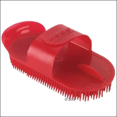 Quelle est cette brosse ?