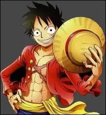 Quel est le surnom de Luffy ?