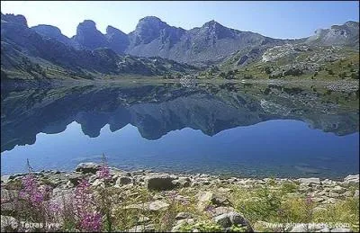 A la demande de Nwt, rendez-vous dans le sud, dans le dpartement des Alpes de haute-Provence, le n :