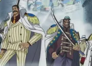 Quiz One Piece : la Marine (2)