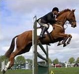 Quiz Equitation