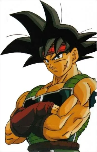 Qui est Bardock ?