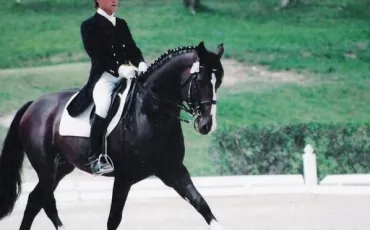 Quiz Equitation