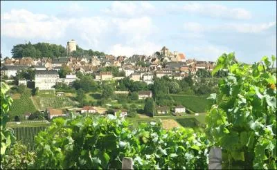 Dans quel dpartement se situe la ville de Sancerre ?