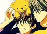 Quiz Junjou Romantica