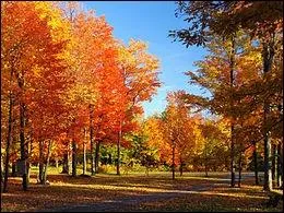 On l'appelle la  belle  province. Quelle est-elle ?