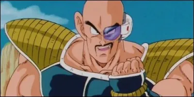 Qui arrive sur Terre en même temps que Vegeta ?