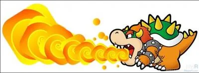 Qui est Bowser ?