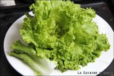 Quel est le nom de cette salade ?