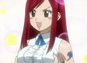 Quiz Fairy Tail - pisodes 011  020 (QCM)