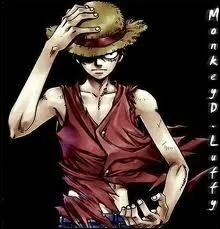 Qui a offert a Luffy son chapeau de paille ?