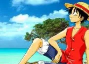 Quiz Les personnages de One Piece