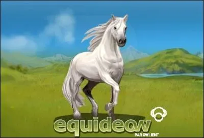 Qui est le créateur d'Equideow ?