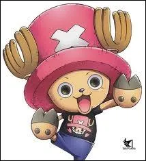 Quel est le nom complet de Chopper ?