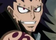 Quiz Fairy Tail - pisodes 021  030 (QCM)