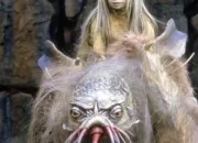 Quiz Dark Crystal (The Dark Crystal en anglais), le film