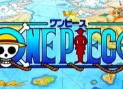 Quiz One Piece - Techniques de combat