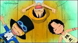 Comment s'appellent les frres de Luffy ?