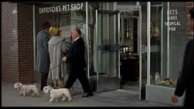 Dans ce film, Alfred Hitchcock joue un passant qui sort d'une oisellerie avec deux scottish terriers. De quel film s'agit-il ?