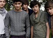 Quiz One Direction - Facts