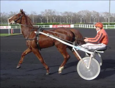 Il est gnralement attel  un trotteur  Longchamp ou  Chantilly. Quel est son nom ?