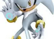 Quiz Silver, the hedgehog