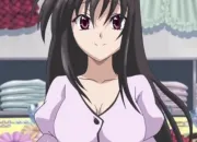 Quiz Highschool DxD