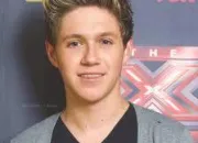 Quiz Niall Horan